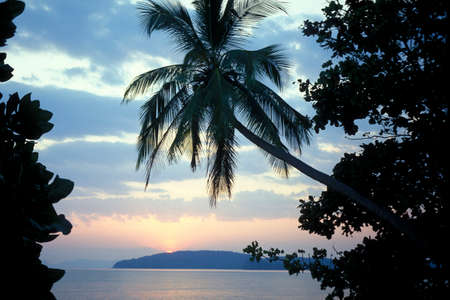 The Sunset at the Hat Phra Nang Beach at Railay near Ao Nang outside of the City of Krabi on the Andaman Sea in the south of Thailand.    Thailand, Krabi, April, 2001のeditorial素材