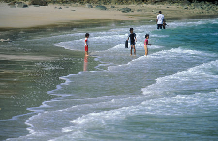 a beach with Landscape naer Ayer Hangat Village in the north of the Island of Langkawi in Malaysia. ...