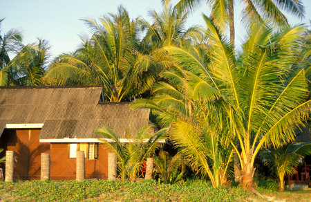 A Guesthouse at the Town of Kampung Lubok Buaya and Pantai Cenang Beach on the Island of Langkawi in Malaysia.  Malaysia, Langkawi, January, 2003のeditorial素材