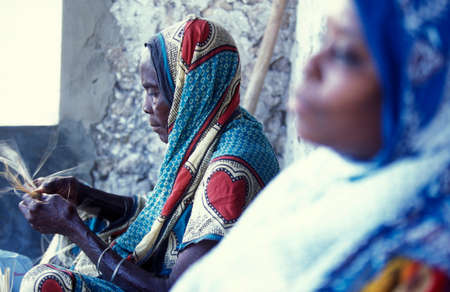 women at weaving work from Coconut fiber at the East Coast at the Village of Bwejuu on the Island of Zanzibar in Tanzania.  Tanzania, Zanzibar, Bwejuu, October, 2004のeditorial素材
