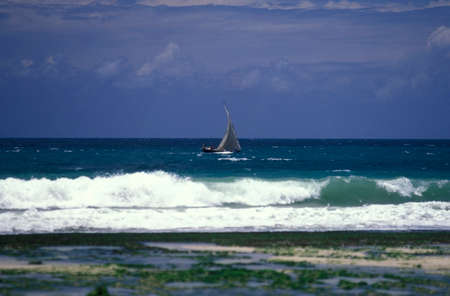 a woodboat and fishingboat on the Beach with the Landscape at the East Coast at the Village of Bwejuu on the Island of Zanzibar in Tanzania.  Tanzania, Zanzibar, Bwejuu, October, 2004のeditorial素材