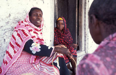 women at weaving work from Coconut fiber at the East Coast at the Village of Bwejuu on the Island of Zanzibar in Tanzania.  Tanzania, Zanzibar, Bwejuu, October, 2004のeditorial素材