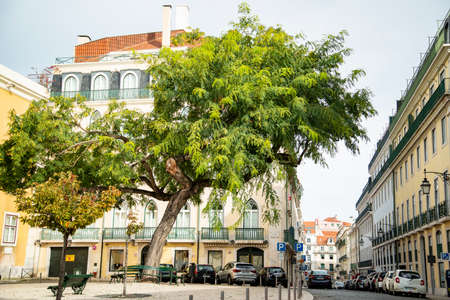 a park on the streets of Chiado in the City of Lisbon in Portugal.  Portugal, Lisbon, October, 2021のeditorial素材