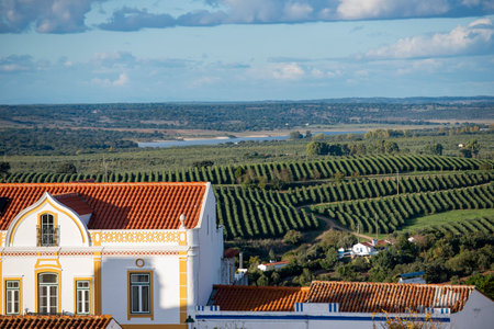 a agriculture near the Town of Avis in Alentejo in Portugal.  Portugal, Avis, October, 2021のeditorial素材