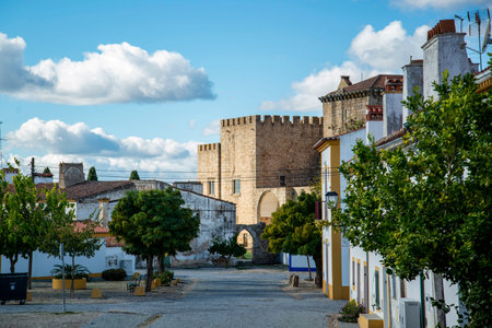 the Castelo and Monastery Santa Maria de Flor da Rosa in the old Town of Flor da Rosa in Alentejo in...