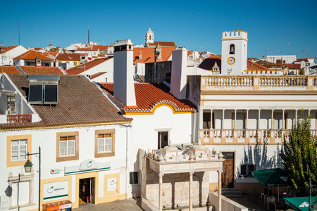 the Chafariz Quinhentista Fontinha with a view of the Village of Alter do Chao in Alentejo in ...