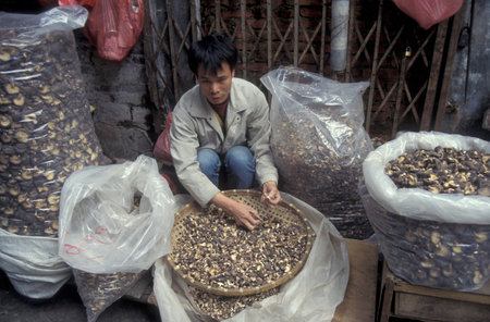 a shiitake mushroom shop in a street market in the city of Nanchang in the Province of Jiangxi in China. China, Nanchang, November, 1996のeditorial素材