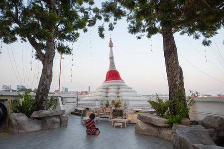 Leaning Pagoda or Chedi Mu Tao on Ko Kret Island in City of Pak Kret in Province Nonthaburi in Thailand, Thailand, Pak Kret, November, 10, 2024のeditorial素材