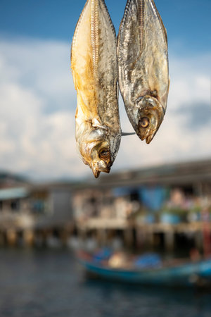 fresh fish is drying at sun in the Fishing Village of Sattahip in the province of Chonburi in...