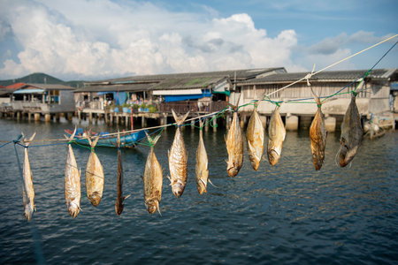 fresh fish is drying at sun in the Fishing Village of Sattahip in the province of Chonburi in...