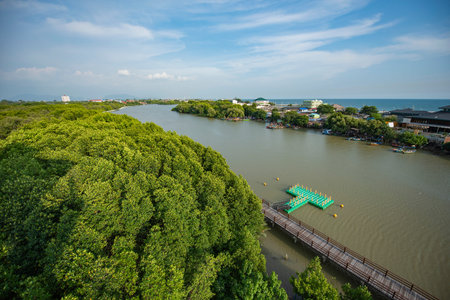 view from Sky Tower View Point at Mangrove walk in Rayong City in Province of Rayong in Thailand, Thailand, Rayong, October, 26, 2024のeditorial素材