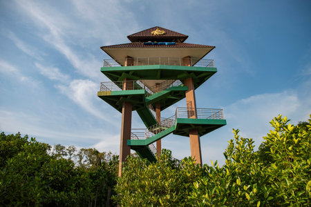 Sky Tower View Point at Mangrove walk in Rayong City in Province of Rayong in Thailand, Thailand,...