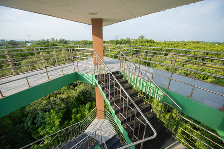 Sky Tower View Point at Mangrove walk in Rayong City in Province of Rayong in Thailand, Thailand,...
