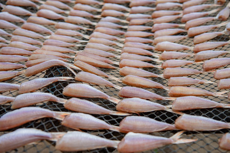 fresh fish is drying at Laem Charoen Beach in Rayong City in Province of Rayong in Thailand,...