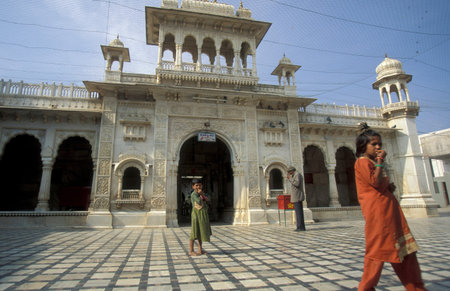 Inside the Karni Mata Rat Temple in the Town of Deshnoke in the Province of Rajasthan in India....