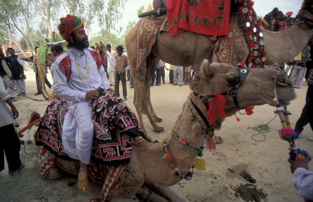 A camel herder in traditional Rajasthani dress at the Bikaner Camel Festival in the Town of Bikaner...