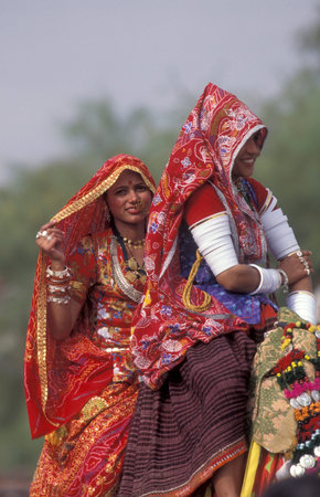 Women in traditional Rajasthani dress on a camel at the Bikaner Camel Festival in the Town of...