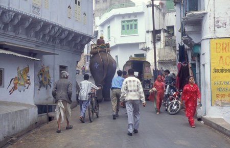 an Elephant in an alley in the Town of Udaipur in the Province of Rajasthan in India. India,...