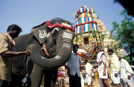an elephant ceremony at the Holi Hindu Temple Festival at the Virupaksha Temple in the town of Hampi...