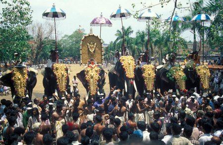 Farmers with their Elephants at the traditional Pooram or Elephant Festival and Temple Festival in...