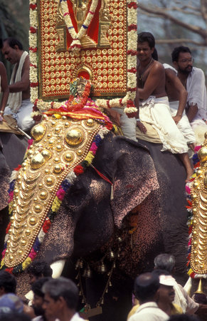 Farmers with their Elephants at the traditional Pooram or Elephant Festival and Temple Festival in...