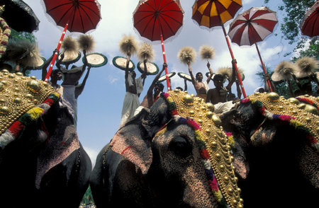 Farmers with their Elephants at the traditional Pooram or Elephant Festival and Temple Festival in...