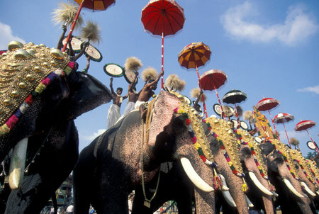 Farmers with their Elephants at the traditional Pooram or Elephant Festival and Temple Festival in...