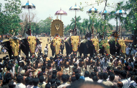 Farmers with their Elephants at the traditional Pooram or Elephant Festival and Temple Festival in...