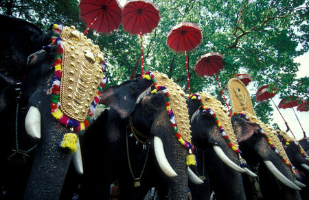 Farmers with their Elephants at the traditional Pooram or Elephant Festival and Temple Festival in...