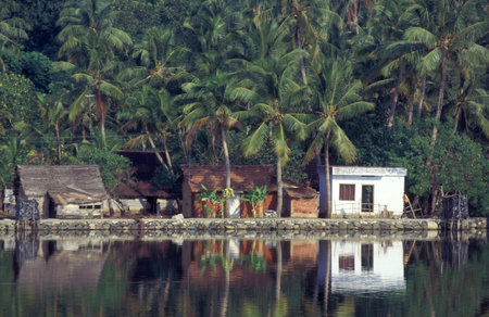 a House with palm trees at a Canal in the Lagoons and Backwater at the Coast near the city of Kochi or Cochin in the Province Kerala in India. India, Cochin, April, 1998のeditorial素材