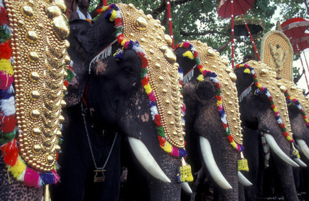 Farmers with their Elephants at the traditional Pooram or Elephant Festival and Temple Festival in...