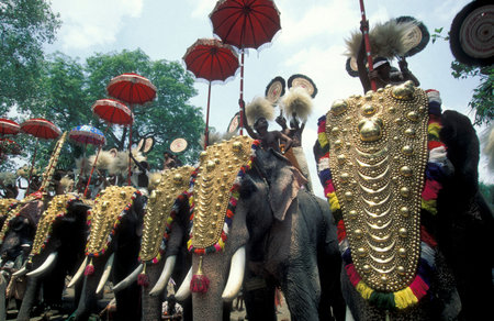 Farmers with their Elephants at the traditional Pooram or Elephant Festival and Temple Festival in...