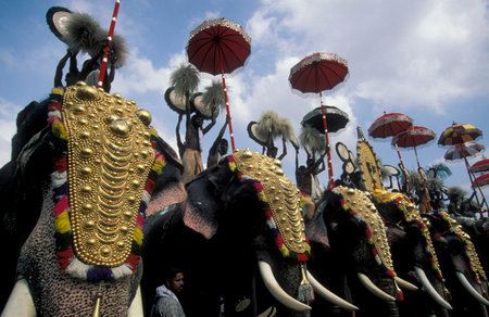 Farmers with their Elephants at the traditional Pooram or Elephant Festival and Temple Festival in...