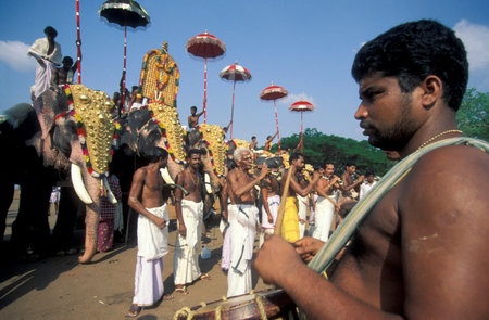 Farmers with their Elephants at the traditional Pooram or Elephant Festival and Temple Festival in...