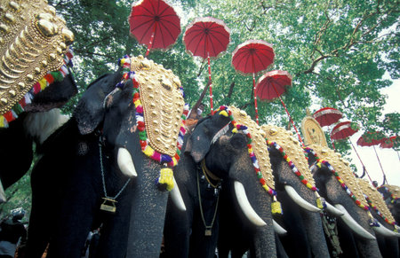 Farmers with their Elephants at the traditional Pooram or Elephant Festival and Temple Festival in...