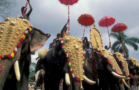 Farmers with their Elephants at the traditional Pooram or Elephant Festival and Temple Festival in...