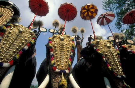 Farmers with their Elephants at the traditional Pooram or Elephant Festival and Temple Festival in...