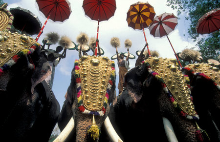 Farmers with their Elephants at the traditional Pooram or Elephant Festival and Temple Festival in...