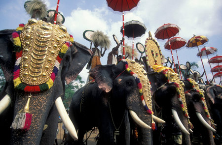 Farmers with their Elephants at the traditional Pooram or Elephant Festival and Temple Festival in...