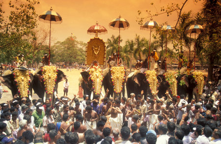 Farmers with their Elephants at the traditional Pooram or Elephant Festival and Temple Festival in...