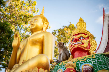 Macaque Monkey sits at a figure on Wat Khao Takiab in the town of Khao Takiab south of Hua Hin in...