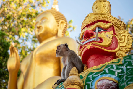 Macaque Monkey sits at a figure on Wat Khao Takiab in the town of Khao Takiab south of Hua Hin in the Province of Prachuap Khiri Khan in Thailand. Thailand, Hua Hin, November, 17, 2023のeditorial素材