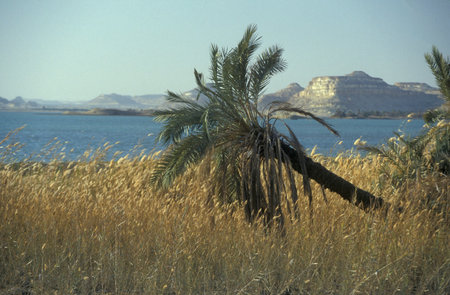 the Landscape and nature of the Salt Lake and Lake Siwa at the old Village of Siwa in the Libyan or eastern Desert of Egypt in North Africa. Egypt, Siwa, March, 2000のeditorial素材