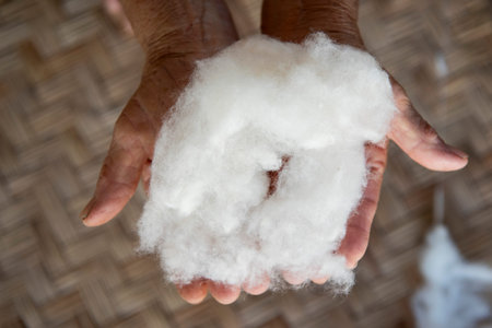Cotton at traditional weaving at the Wat Nong Bua Museum in Wang Pha Village in Province of Nan in...