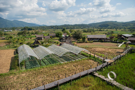 Village and Landscape at Wat Kong in Wang Pha Village in Province of Nan in North Thailand....