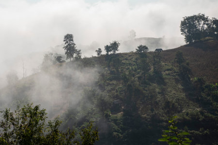 morning fog at Ban Yot Doi Pass near Ban Bo Kluea in Province of Nan in North Thailand. Thailand, Sapan, November, 21, 2024.のeditorial素材