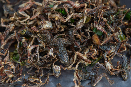 Grill Frog at Thai Food Market on Wat Saket Festival Fair in Bangkok in Thailand. Thailand, Bangkok, November, 8, 2024.のeditorial素材