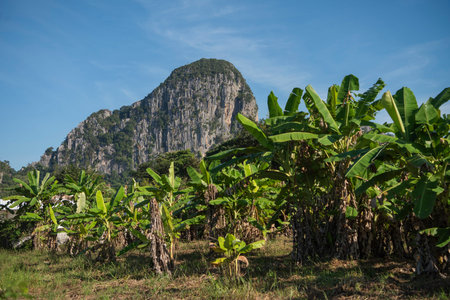 Landscape and Mountains at Wat Tham Khao Chakan in the Province of Sa Kaeo in Thailand. Thailand, Sa...