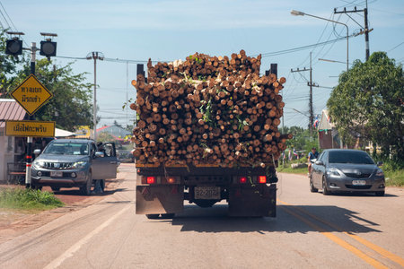 Transport of high-quality eucalyptus woods to produce Paper in Province of Sa Kaeo in Thailand. Thailand, Sa Kaeo, November, 13, 2025のeditorial素材