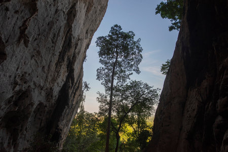 the Nature wit a Tree at the cave of Wat Tham Khao Chakan in Province of Sa Kaeo in Thailand. Thailand, Sa Kaeo, November, 15, 2025のeditorial素材